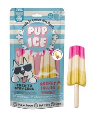 Мороженое для собак Pup Ice Rocket Lollies Strawberry Banana M 2 шт., 90 г, 2 шт., Medium