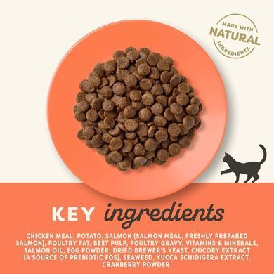 Сухий корм для котів Applaws Chicken & Salmon + пробіотик, 7,5 кг
