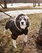 Куртка-парка Metallic Fashion Pet для собак, 36 см, 53 см, 38 см, M