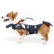Рятувальний жилет для собак Wan Talk Cartoon Style Reflective Life Jacket, 29 см, 46-56 см, 28-36 см, S