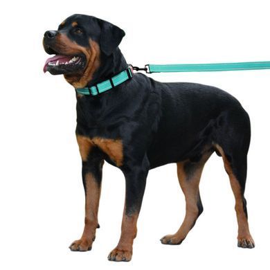 Поводок для собак Bronzedog Active Нейлоновый со Светоотражением Ментоловый