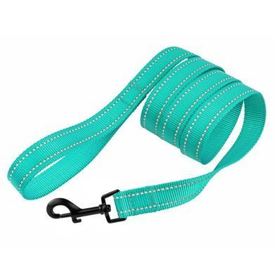 Поводок для собак Bronzedog Active Нейлоновый со Светоотражением Ментоловый