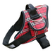 Шлея для собак Derby H2 Red, Красный