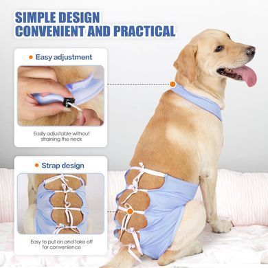 Дышащая попона для собак Derby Breathable Pet Recovery Suite, Blue, 55-65 см, 70-90 см, 50 см, XL