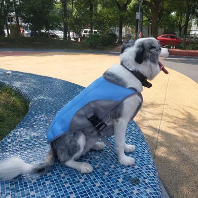 Летний охлаждающий жилет для собак крупных пород Derby Summer Dog Cooling Vest PA0116, Blue, 49 см, 55-75 см, 45 см, L