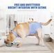 Дышащая попона для собак Derby Breathable Pet Recovery Suite, Blue, 55-65 см, 70-90 см, 50 см, XL