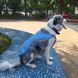 Летний охлаждающий жилет для собак крупных пород Derby Summer Dog Cooling Vest PA0116, Blue, 49 см, 55-75 см, 45 см, L