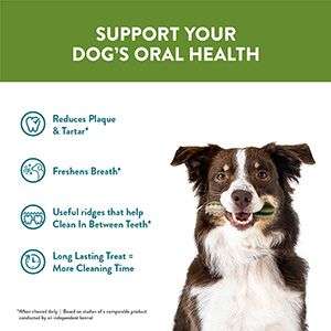 Натуральні ласощі для зубів собак WHIMZEES Dental Treats Toothbrush, 6 шт., L