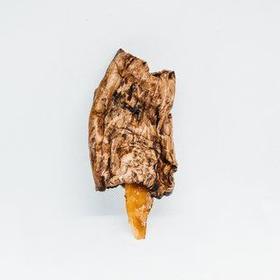 Эскимо для собак из говяжьей жилы и легкого, говядина, 100 г