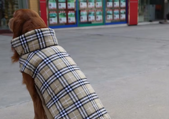 Зимний водонепроницаемый двухсторонний жилет в клетку Derby Plaid Beige в британском стиле, 26 см, 34-40 см, 28 см