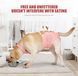 Дышащая попона для собак Derby Breathable Pet Recovery Suite, Pink, 55-65 см, 70-90 см, 50 см, XL
