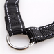 Повідець для 2-х собак Derby Dog Double Leash
