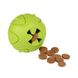 Игрушка для собак Bronzedog SMART мотивационная Мяч 7 х 9 см, Зелёный