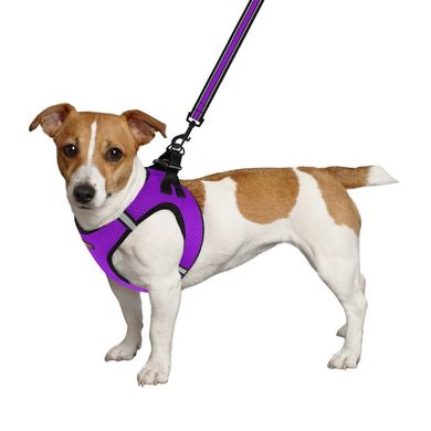 Шлея для собак BronzeDog Mesh Vest 3D сетка фиолетовая