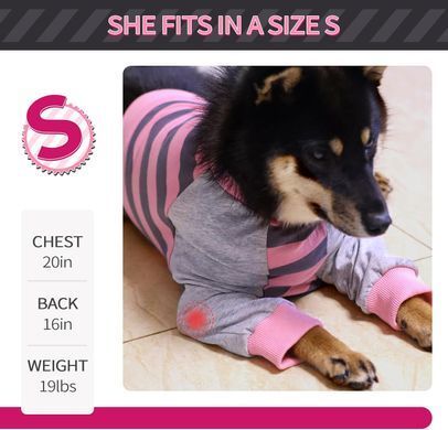 Костюм для відновлення собак Derby Stop Licking Dog Recovery Shirt, Pink, 25 см, 58 см, 30 см, 3XL