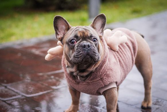 Кофта Smart Pet Bamby, 30-33 см, 40-45 см, S1