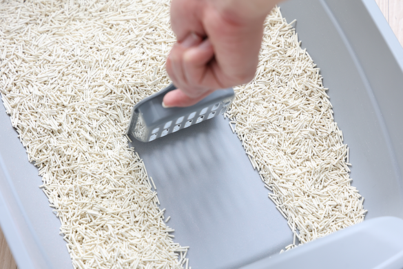 Биоразлагаемый наполнитель для кошачьих туалетов UNIQ PETS CAT LITTER TOFU natural, 5 кг
