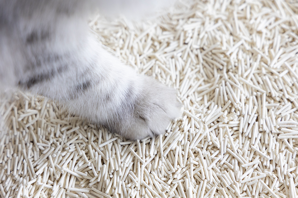 Биоразлагаемый наполнитель для кошачьих туалетов UNIQ PETS CAT LITTER TOFU natural, 5 кг
