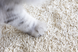 Биоразлагаемый наполнитель для кошачьих туалетов UNIQ PETS CAT LITTER TOFU natural, 5 кг