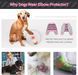 Костюм для відновлення собак Derby Stop Licking Dog Recovery Shirt, Pink, 25 см, 58 см, 30 см, 3XL