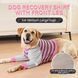 Костюм для відновлення собак Derby Stop Licking Dog Recovery Shirt, Pink, 25 см, 58 см, 30 см, 3XL