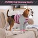 Костюм для відновлення собак Derby Stop Licking Dog Recovery Shirt, Pink, 25 см, 58 см, 30 см, 3XL