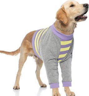 Костюм для восстановления собак Derby Stop Licking Dog Recovery Shirt, Purple, 40 см, 100 см, 60 см, 3XL