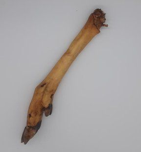 Нога оленя, 1 шт., оленина, 1 шт., Small