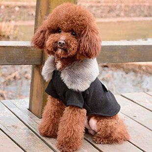 Пальто с меховым воротником для собак Derby Black, 20 см, 29-30 см, 20-21 см, S