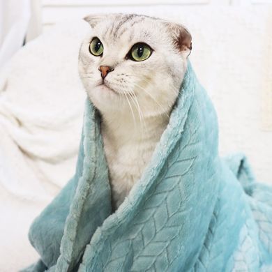 Плед для домашніх тварин Soft Warm Fluffy Pet Blanket, Темно-синій, 70х100 см