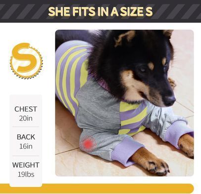 Костюм для восстановления собак Derby Stop Licking Dog Recovery Shirt, Purple, 25 см, 58 см, 30 см, 3XL