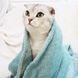 Плед для домашніх тварин Soft Warm Fluffy Pet Blanket, Темно-синій, 70х100 см