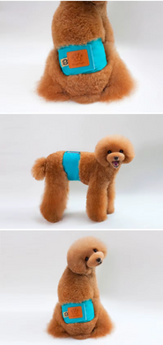 Багаторазовий підгузок для кобелів Pet Dresses up Dogstyle Turquoise, XL, 51-58 см
