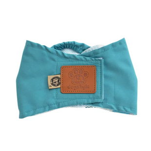 Багаторазовий підгузок для кобелів Pet Dresses up Dogstyle Turquoise, XL, 51-58 см