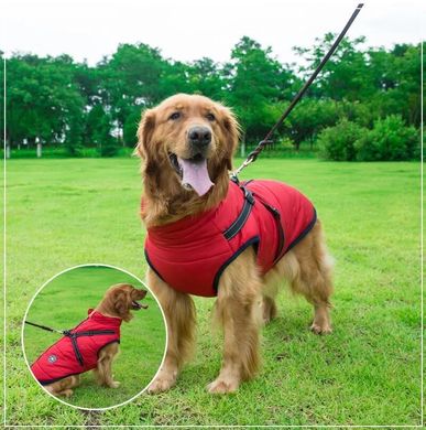 Светоотражающая зимняя куртка для собак Red, 22 см, 36 см, 26,5 см, S