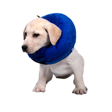 Захисний надувний нашийник для собак Derby Protective Inflatable Dog Cone Collar Blue, XS, 12-20 см