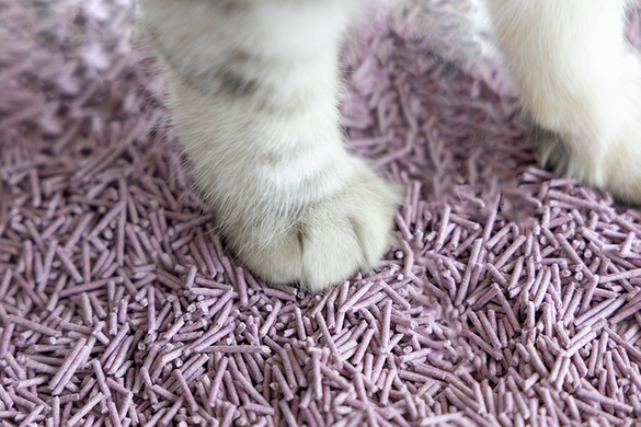 Биоразлагаемый наполнитель для кошачьих туалетов UNIQ PETS CAT LITTER TOFU lavender, 5 кг