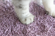 Биоразлагаемый наполнитель для кошачьих туалетов UNIQ PETS CAT LITTER TOFU lavender, 5 кг