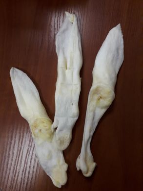Вуха кролика білі без хутра, 1 шт., кролик, 1 шт.