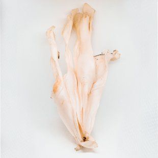 Уши кролика белые без меха, 1 шт., кролик, 1 шт.
