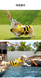 Рятувальний жилет для собак Derby Bee Design Dog Life Vest, 30 см, 41-63 см, 40-48 см, M