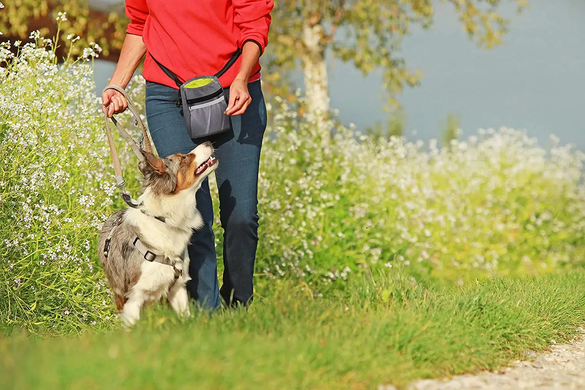 Сумка для выгула и тренировок собак Dog Treat Bag blue
