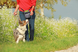 Сумка для выгула и тренировок собак Dog Treat Bag blue