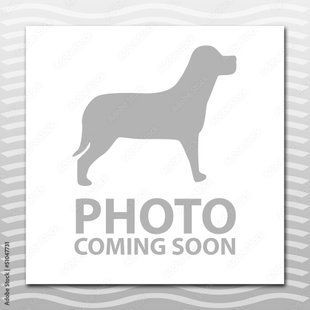 Сумка для лакомств собак Voyager Pet VBT2005 Red