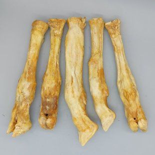 Нога ягненка 15-23 см, ягнятина, 1 шт.
