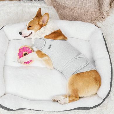 Заспокійливий жилет для собак WanTalk Dog Anxiety Jacket, Light Grey, 38 см, 56-88 см, 50-63 см, XL
