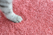 Біорозкладний наповнювач для котячих туалетів UNIQ PETS CAT LITTER TOFU peach, 5 кг