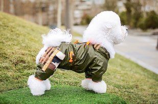 Комбинезон Smart Pet Olive, 18-22 см, 25-31 см, XXS