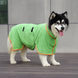 Рушник/халат для собак Derby з мікрофібри на липучках, Light Green, XS